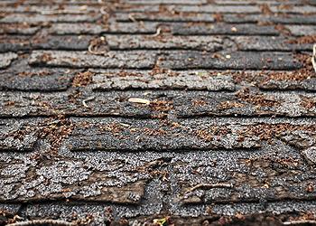 Merritt Roofing and Construction Images